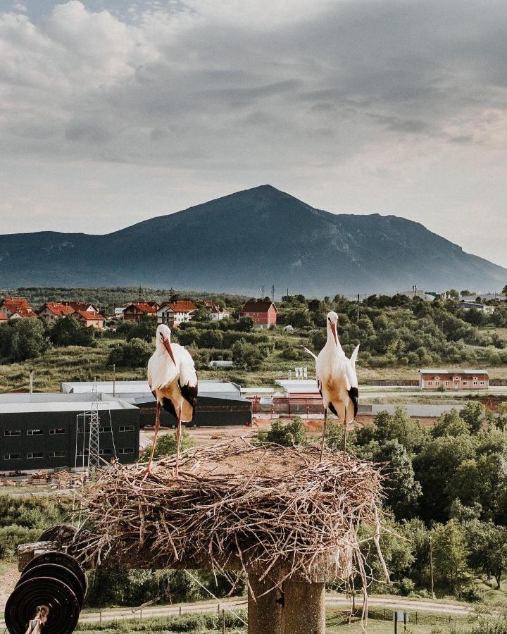 Apartmán Rtanjska Bajka Boljevac Exteriér fotografie